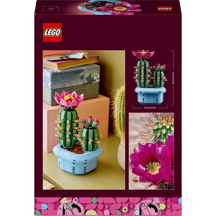 Nowe LEGO Botanicals Kaktus i Stokrotki