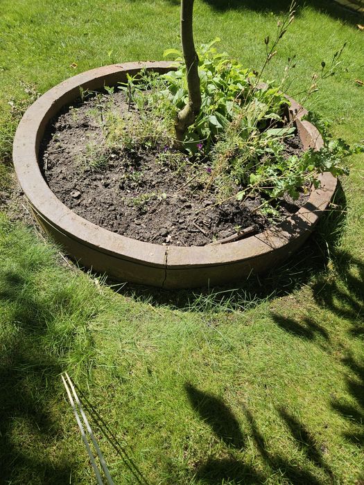 Sprzedam otoczki do drzew.