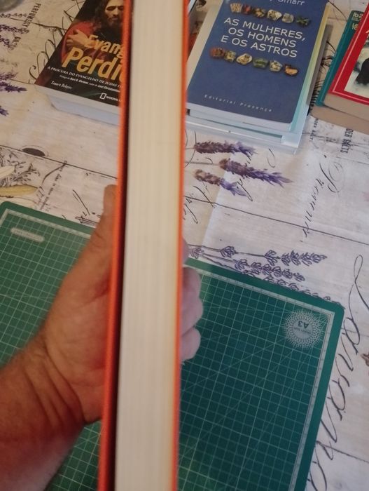 Livro super homem ou algo do gênero