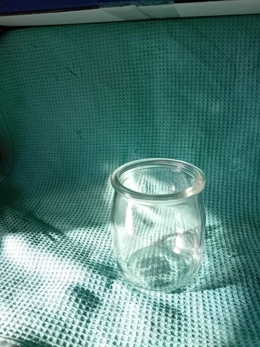 Copos em vidro de iogurte