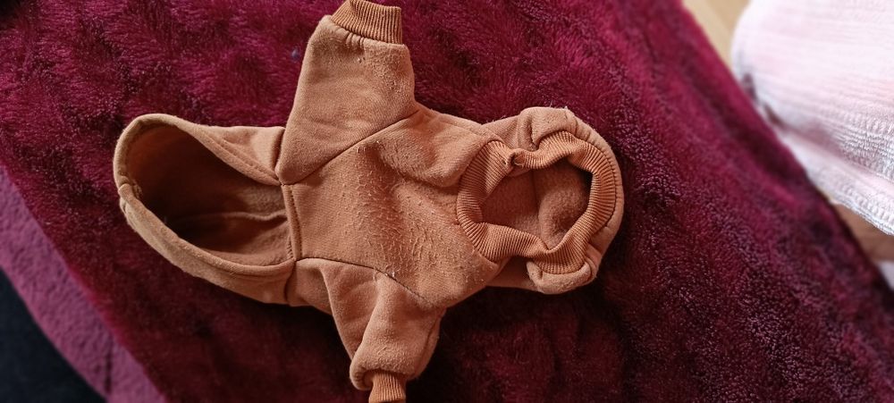 2 camisolas para cão. Uma azul e a outra castanho. Com algum uso