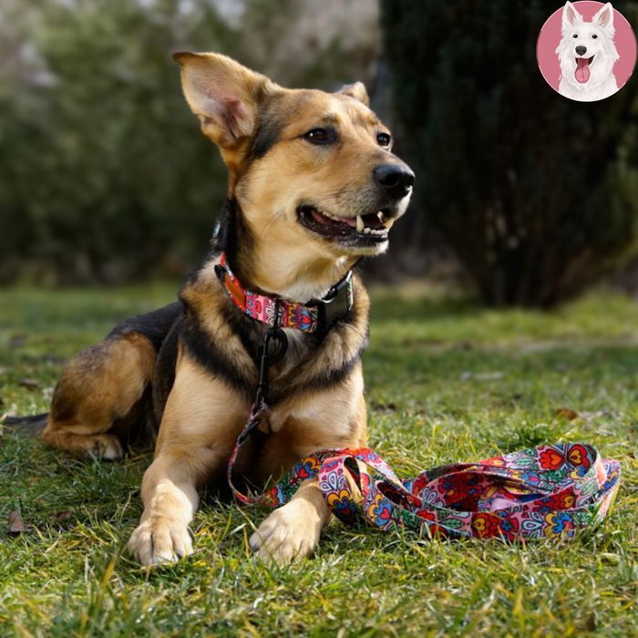 materiałowa saszetka na smakołyki smaki dla psa w serduszka