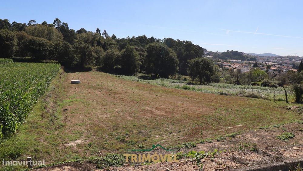 Terreno para Construção em Oliveira de Azeméis — Oliveira De Azeméis, Santiago De Riba-Ul, Ul, Macinhata Da Seixa E Madail, Aveiro
