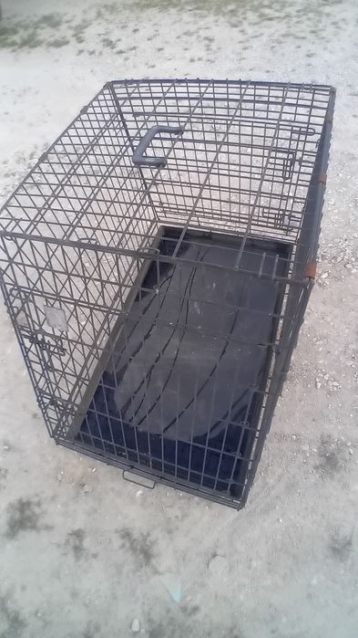 Caixa de transporte animais