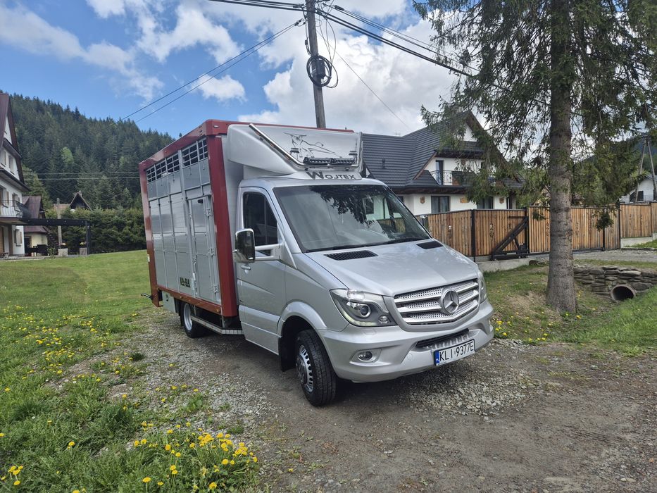 Mercedes Sprinter 519 do przewozu zwierzat