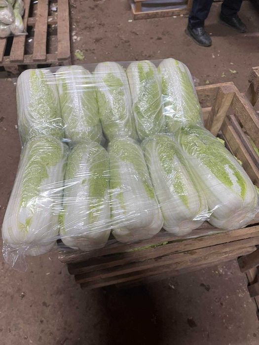 Пекінську капусту потребую на постійній основі