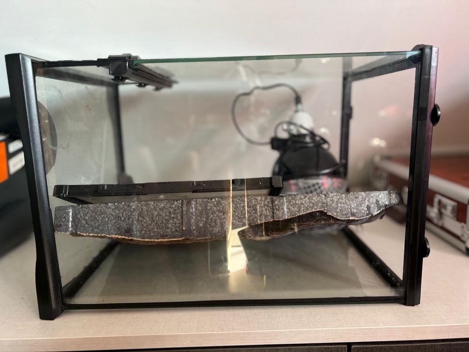 Akwarium dla rybek, gadów z asortymentem