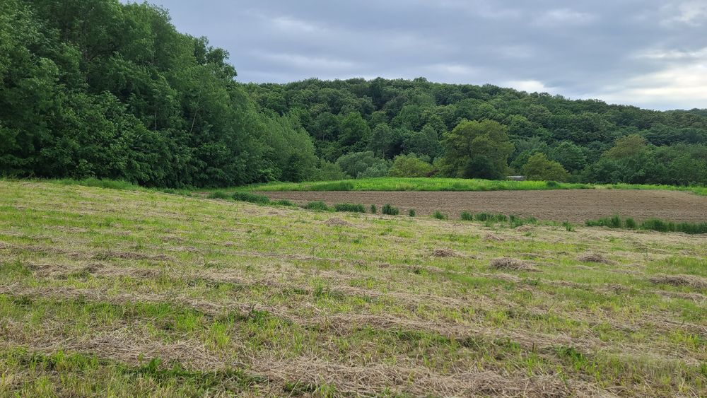Продам земельну ділянку під лісом, біля озера