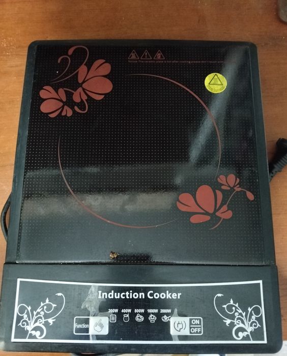 Індукційна електрична плита