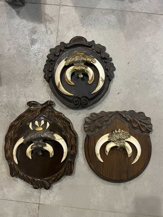 Oręż dzika deski kły łowiectwo ozdoba deski prl