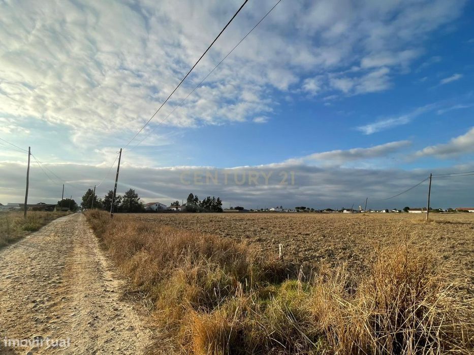Terreno Rústico com Projeto Aprovado | 5.000 m² | Foros de Salvaterra