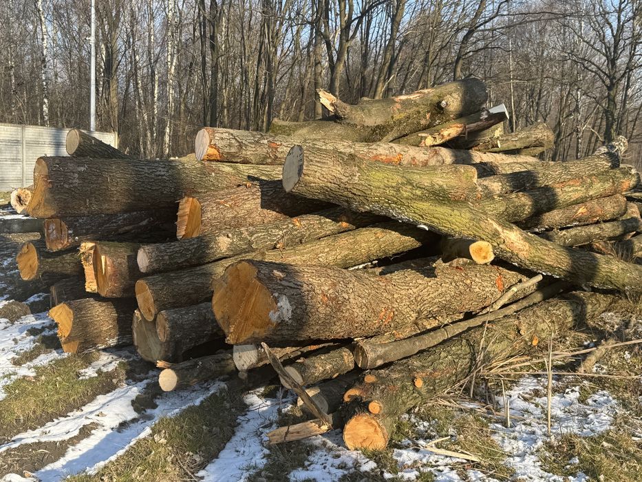 Drewno opałowe kominkowe