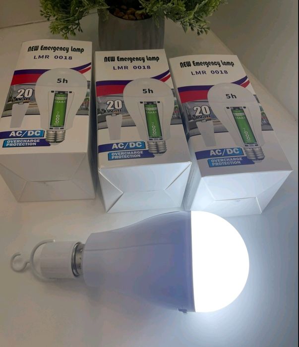 Аккумуляторная лампа LED 20W E27 с 2 аккумуляторами