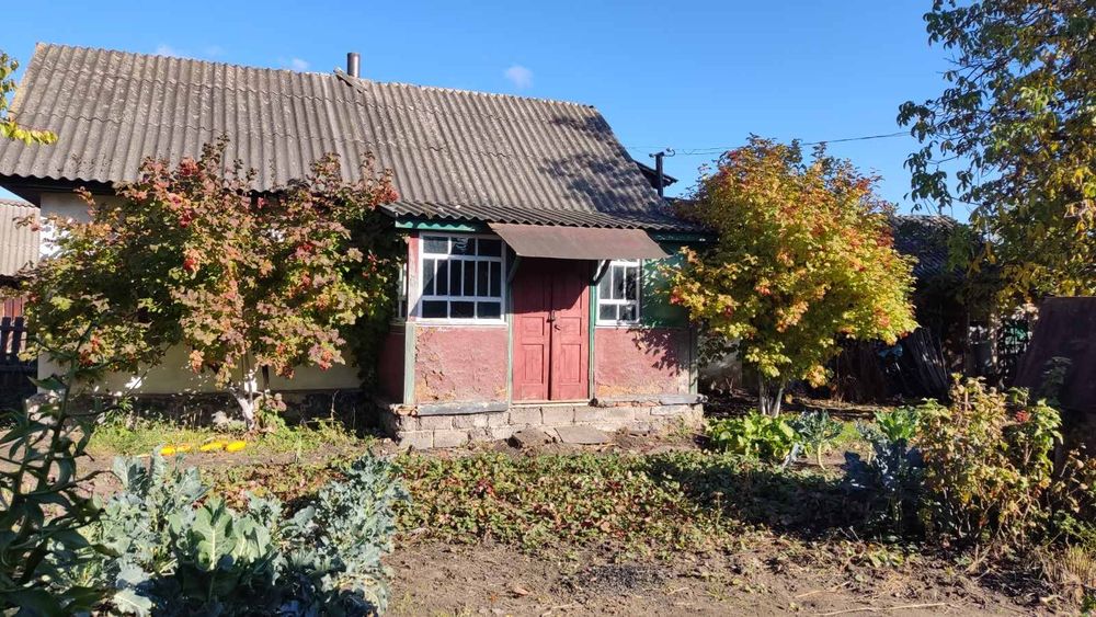 Продам будинок м.Борзна