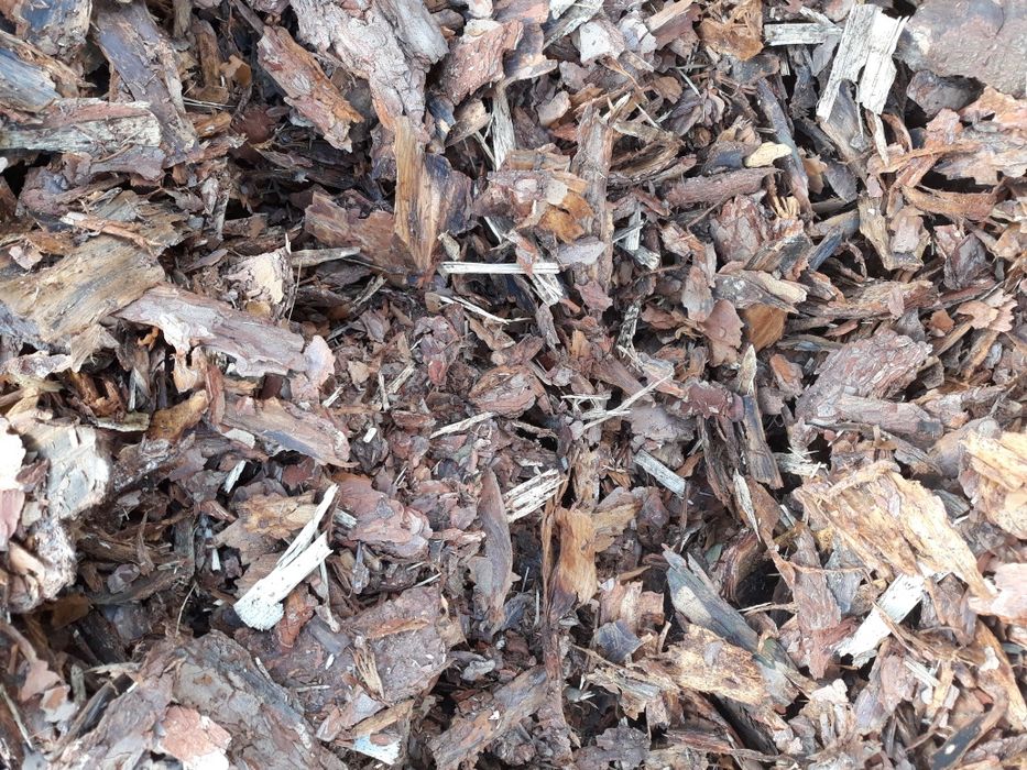 Kora sosnowa BIG BAG