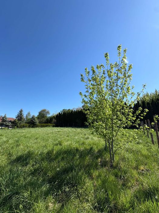 Działka budowlana 10 arów | Nowoczesne osiedle| Zamość