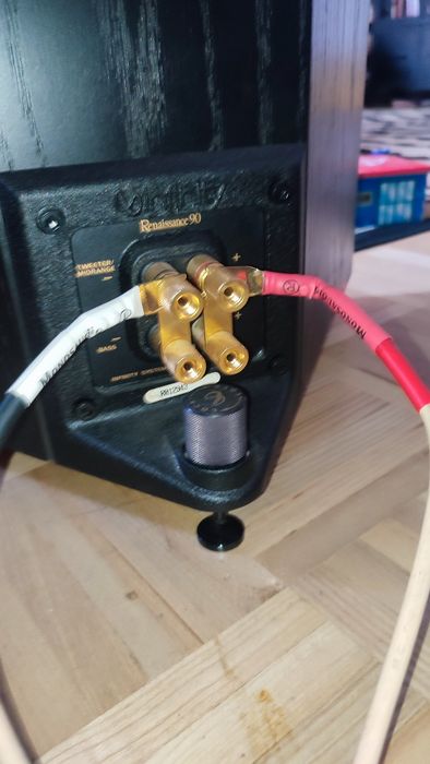 Renaissance 90 infinity legenda hi end