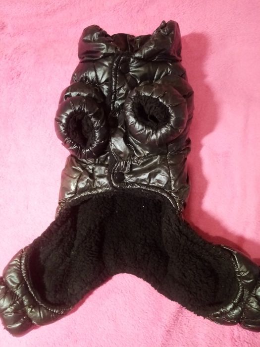 Одяг для міні собачки