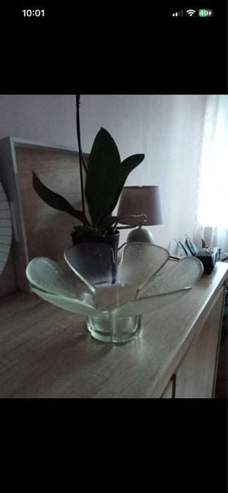 Miska na owoce misa