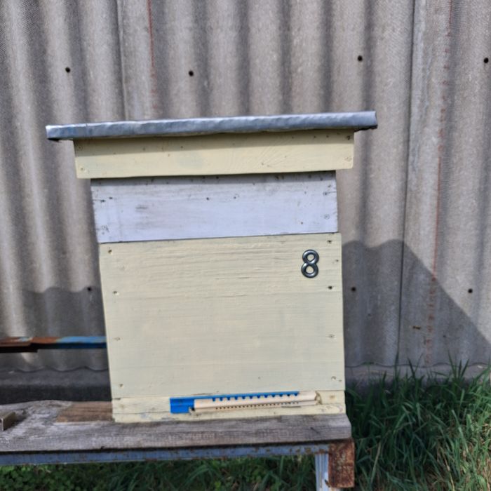 Вулики дерев'яні дадан на 10 /12 рамок