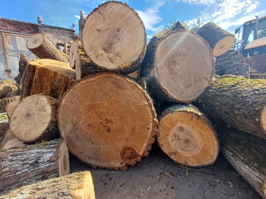 Дрова дубовые колотые Харьков — сухие, качественные, доставка