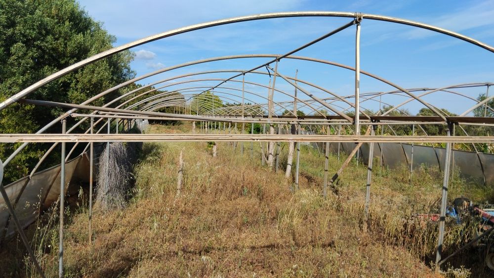 Estufa metálica 660m2 galvanizado