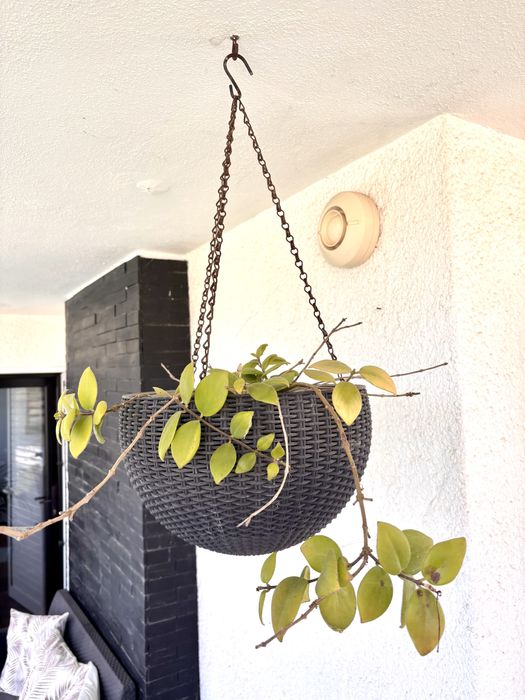 Vasos suspensos em Rattan 35cm