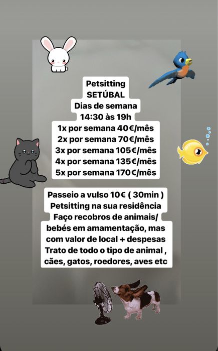 Petsitting Setúbal