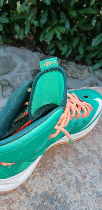 Sapatilhas LeBron James