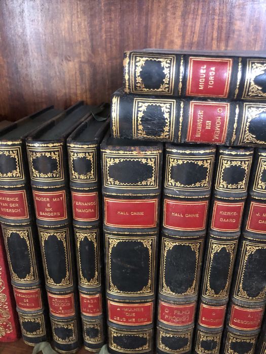 Varios autores de renome nacionais e internacionais