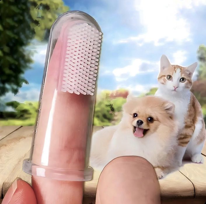 Одяг для котів та собак