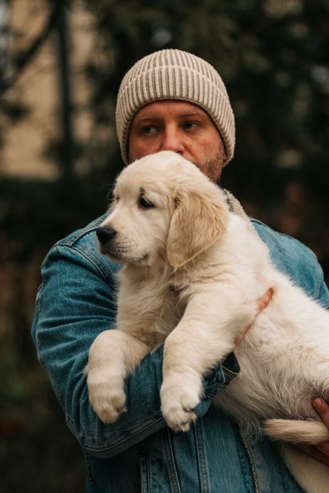 Хлопчик золотистого ретривера в пошуках батьків