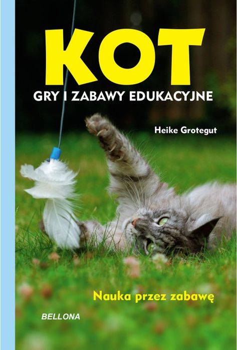 Kot Gry I Zabawy Edukacyjne Grotegut Heike