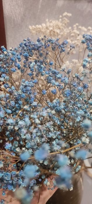 Flores naturais preservadas