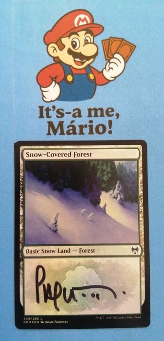 Snow-Covered Forest (V.1) - SIGNED - FOIL - Magic the Gathering - Kaldheim