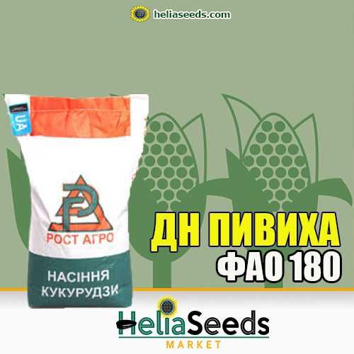 Насіння кукурудзи гібриди української селекції