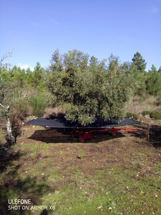 Toldo articulado 7metros para apanha de azeitona / amêndoa etc.