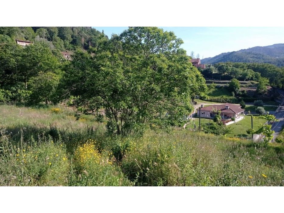 terreno — Crasto, Ruivos E Grovelas, Viana do Castelo