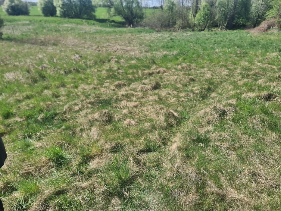 Działka Łąka 4628m2 barany 1