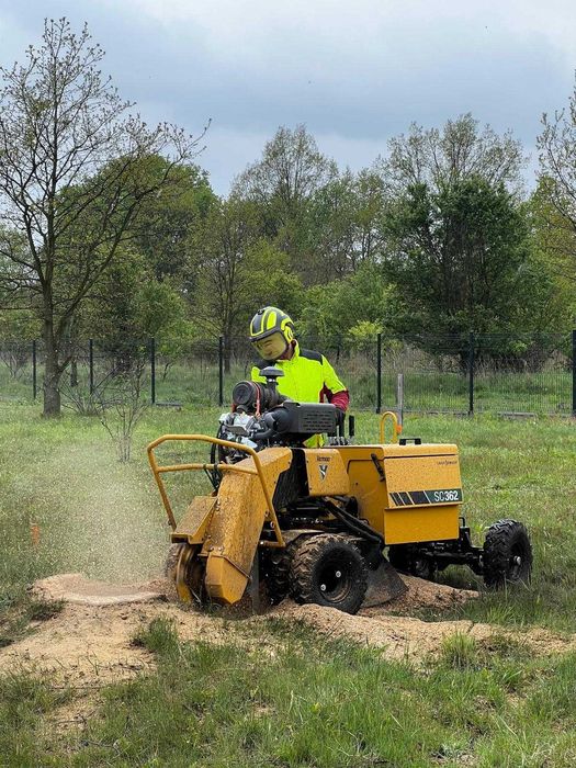 Frezowanie usuwanie pni korzeni karp usługa frezarką wycinka rębak