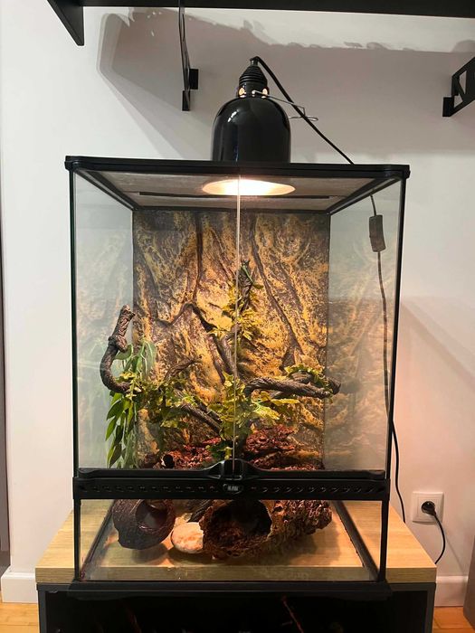 Terrarium Exo Terra 45x45x60 + wyposażenie i dekoracje. Możliwa duża negocjacja!!!!
