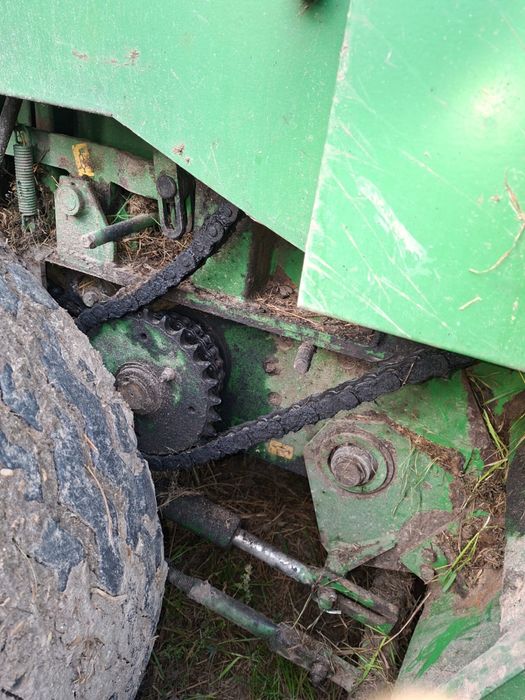 Sprzedam prase sipma z279/1