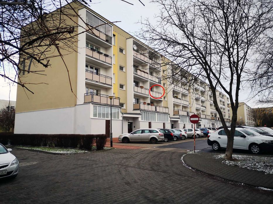 Zdjęcie 8
