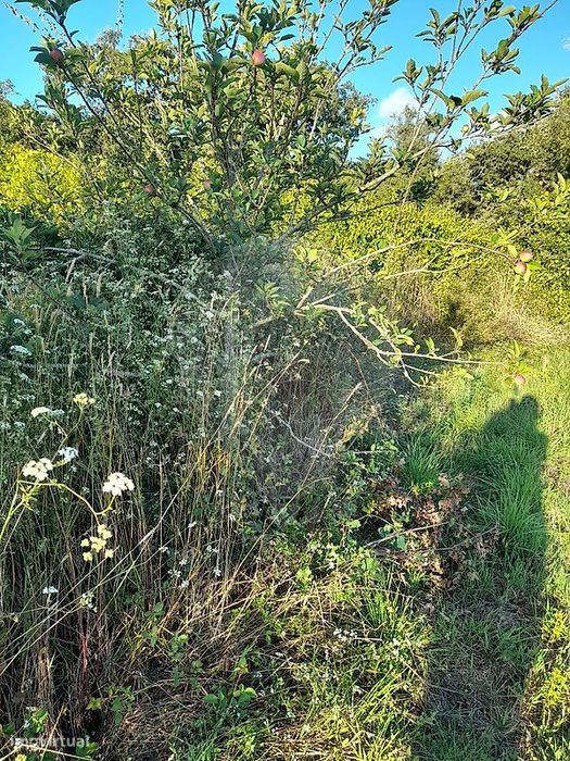 Terreno  para venda