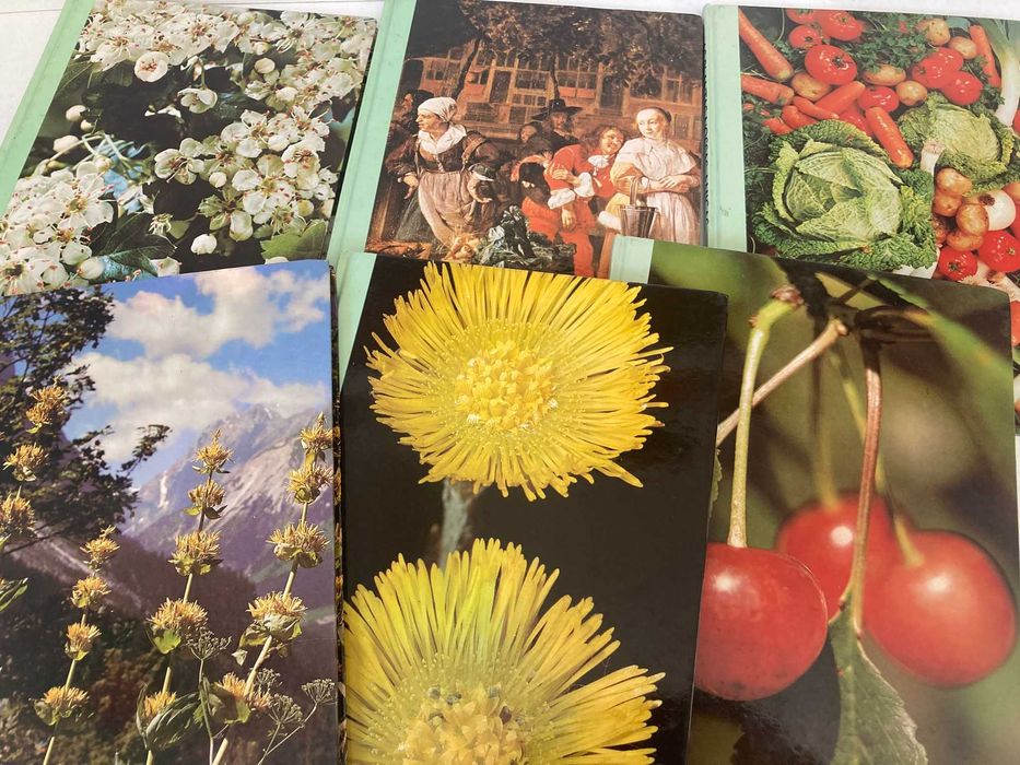 6 Volumes - As Plantas São Nossas Amigas (correio registado incluído)