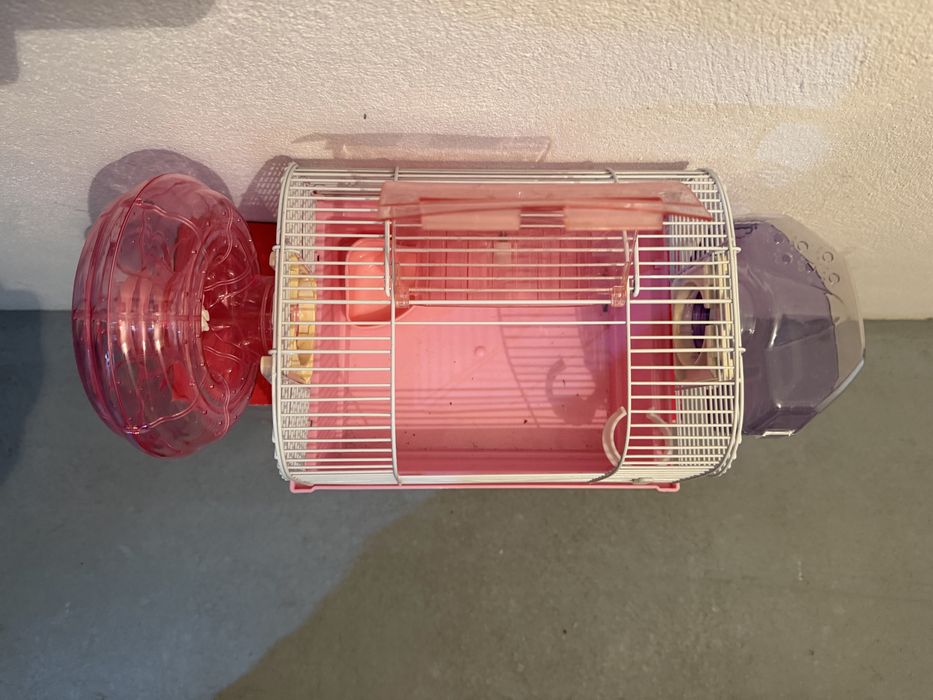 Gaiola para hamster  com acessorios