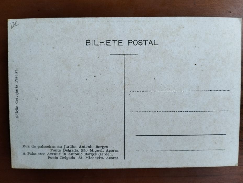 Antigo postal Rua de Palmeiras no Jardim António Borges Ponta Delgada