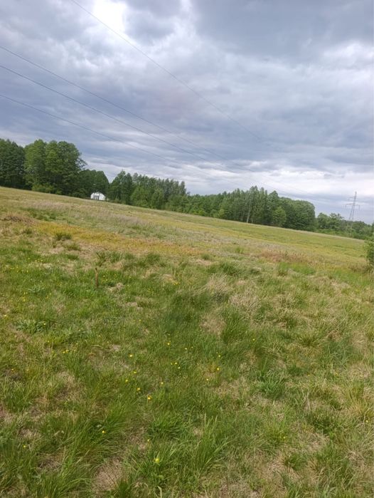 Sprzedam działkę budowlaną 800 m² - Widok 4