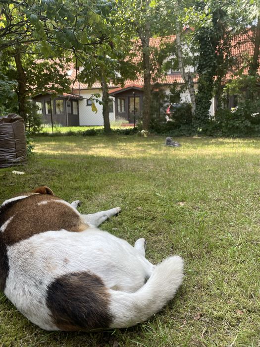 Dzialka na sprzedaz Dębki blisko morza