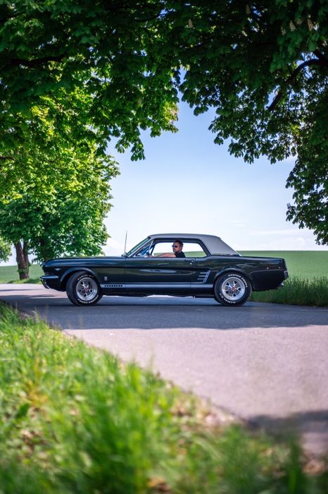 1966 Ford Mustang GT 289 V8 225KM Ivy Green Metallic auto do ślubu!